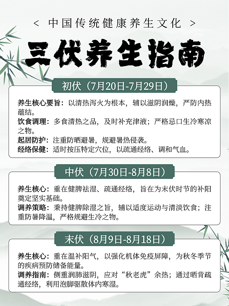 灰色水墨插画风三伏养生指南知识分享小红书配图