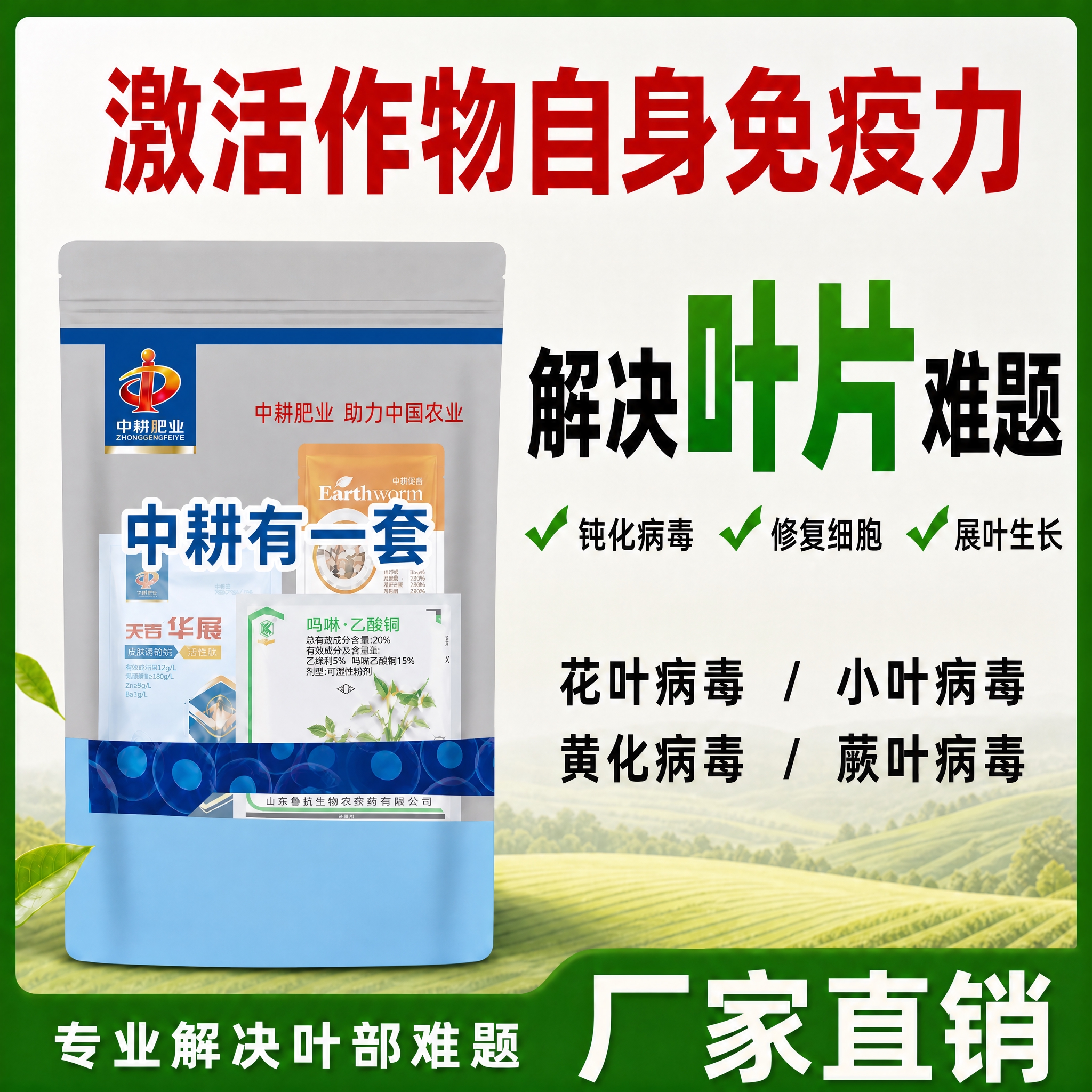 在图一基础上修改 拼多多主图 1:1正方形 农业风格 整体布局… - 图片创意预览