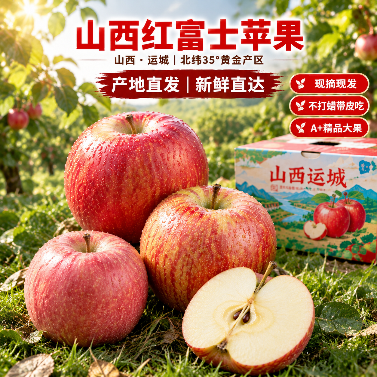 京东电商主图，800×800像素，1:1比例，背景为山西运城苹… - 图片创意预览