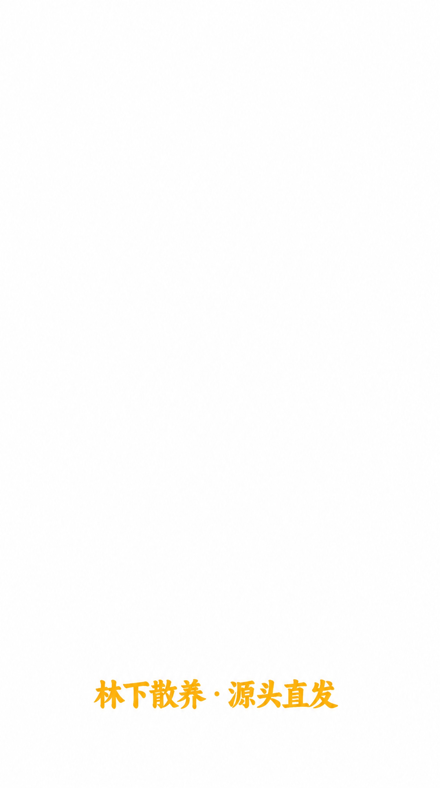 将图中所有深绿色文字改为橘黄色（鸡蛋黄配色），保持文字内容、字… - 图片创意预览