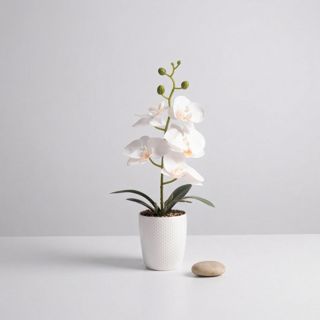 STRICTLY keep original plant shape and EXACT colors, no redesign, no color shift, no structure chang预览效果