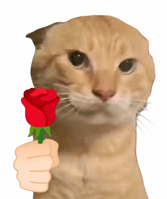 保留图中的橘猫和手举玫瑰的图案，将背景替换为纯白色的空白背景预览效果