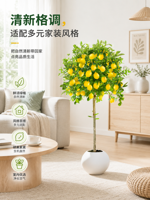 柠檬树盆栽适配多种家装风格，展示鲜亮翠绿的枝叶，摆放在北欧风客厅中，画面干净清新，适合淘宝主图，添加文字卖点"清新格调，适配多元家装风格"预览效果