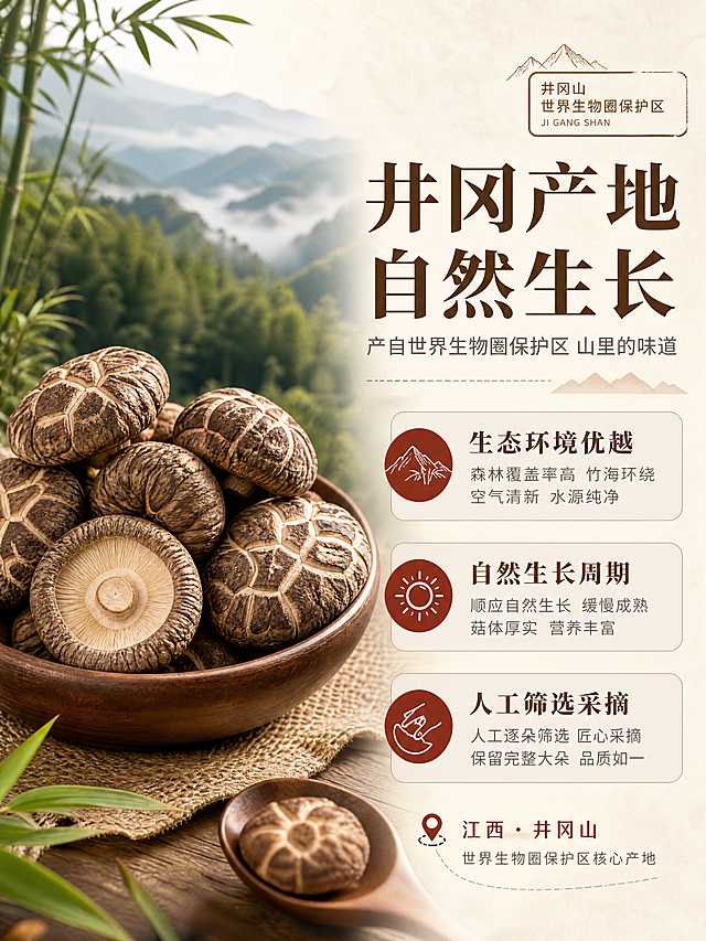 [商品] 使用【图1】碗装干香菇实拍图；保留干香菇棕褐色外观、自然裂纹、菇形圆润饱满的真实形态；香菇颗粒大且清晰，作为产地品质的实物佐证。
[画面] 目标：产地优势页，强调井冈山世界生物圈保护区产地背书。构图：左图右文，左侧为山林/竹海产地场景（虚化远景）+ 前景一碗干香菇特写，香菇主体占画面40%；右侧为产地信息文字区；前景点缀竹叶、麻布、木勺等自然元素；≥3层环境层次（远山竹林/中景雾气/近景香菇碗）。
[视觉] 套系策略：风格=自然质朴山珍干货风商业摄影；标题字=宋体粗体（传统厚重感）；正文字=简洁无衬线体；主色=暖棕+米白；背景延展=基于米白做深浅层级、同色渐变和细腻纸张/麻布质感；强调色=深棕红，仅用于小面积图标、引线和标签；标题色=深棕；正文色=中暖灰；组件=圆角浅棕信息卡、细线引线、山形装饰元素；光影=左前侧暖柔光，自然柔和阴影。
[文字] 主标题「井冈产地 自然生长」（8字），副标题「产自世界生物圈保护区 山里的味道」（14字），3个产地卖点：「生态环境优越」「自然生长周期」「人工筛选采摘」；文字位于画面右侧，横向排版，不遮挡香菇主体；产地名称和核心卖点字号放大突出；移动端可读。
[规格] 图片比例3:4竖版，分辨率4K，quality=medium；负向提示：避免变形、错字、文字过小、冷蓝/蓝灰背景、香菇颜色改变、虚假功效承诺、极限词。