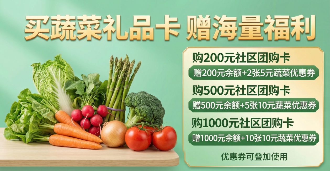 线上商城蔬菜礼品卡促销活动轮播banner，大标题写"买蔬菜礼品卡 赠海量福利"，下方清晰排版活动详情：购200元社区团购卡：赠200元余额+2张5元蔬菜优惠券；购500元社区团购卡：赠500元余额+预览效果