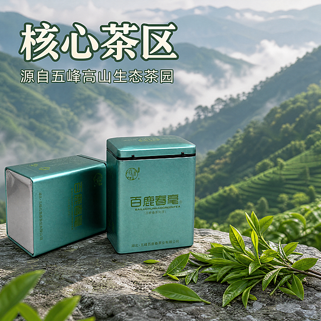 [主图-2] 五峰百鹿春茶核心产区产地溯源主图。
[氛围风格] 轻奢自然风，真实产地氛围感
[画质] 商业摄影质感、光线柔和通透、产品清晰真实、画面干净高级
[元素] 左侧摆放完整青绿色茶叶铁罐，右侧背景是连绵的五峰茶山实景，青翠山林层叠，远山雾气朦胧。产品置于干净岩石台面上，前景点缀新鲜采摘的茶芽。保持产品外观（物理结构、材质质感、颜色）与输入产品图绝对一致，杜绝任何变形和色差。商品主体占比约60%，画面满屏无边框。
[光影] 自然山雾散光，整体光线明亮柔和，产品清晰突出，背景茶山虚化朦胧，远山层次丰富
[配色] 产品青绿色为主，背景深浅绿色渐变层次，文字米白色搭配深绿色描边
[视角构图] 平视，产品左侧实景右侧构图，前景中景背景分层清晰
[文字版式] 左上大字"核心茶区"米白色粗体，下方小字"源自五峰高山生态茶园"清晰说明，画面整体干净重点突出，文字不遮挡主体
[比例分辨率] 1:1 比例，4k 分辨率，文字清晰锐利，画面超高清
[负向提示词] 变形，水印，文字错乱，产品图模糊，背景杂乱
