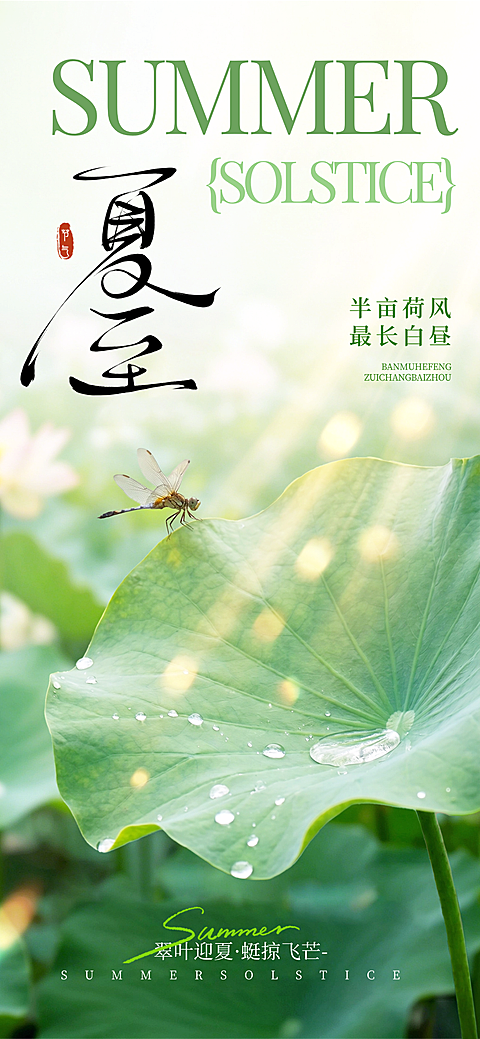 夏至实景光感蜻蜓荷花通用节气祝福全屏竖版海报