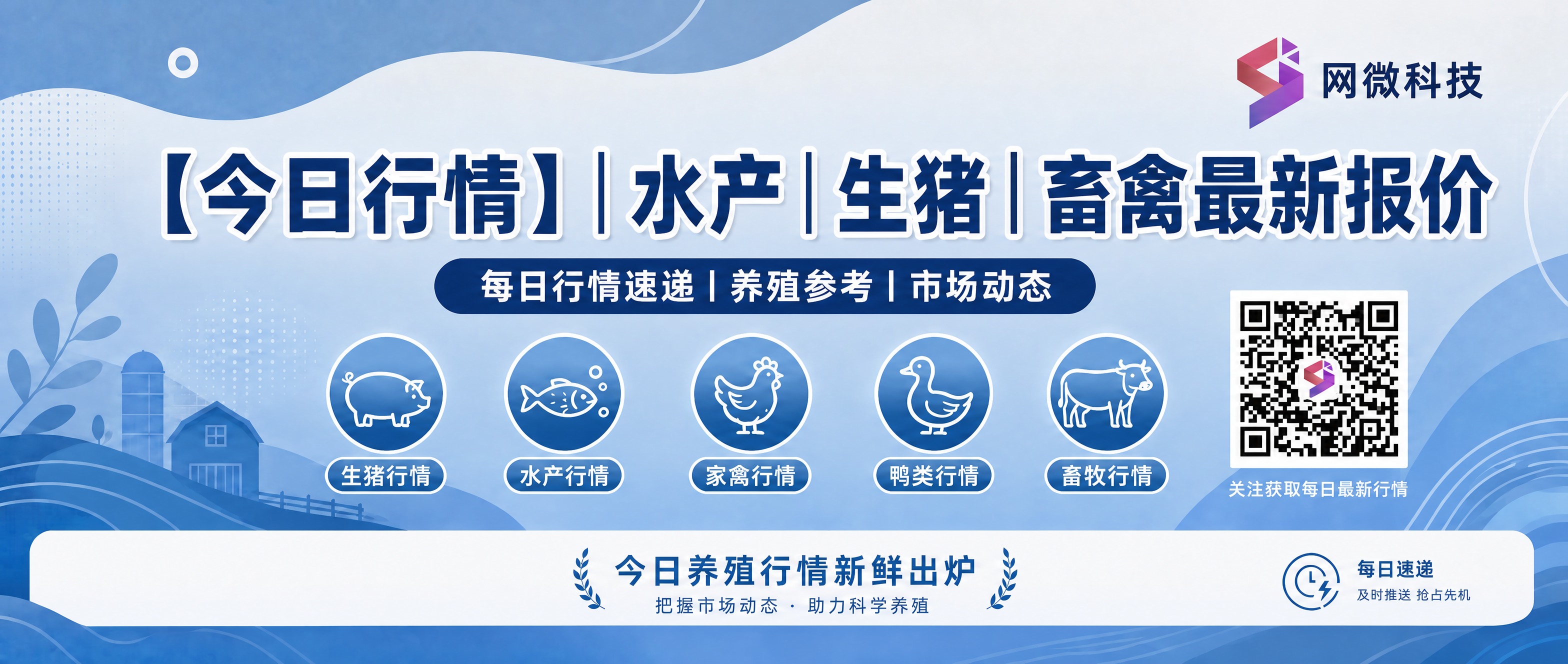 修改这张蓝色系公众号封面海报的主标题文字，将原标题"【今日行情… - 图片创意预览