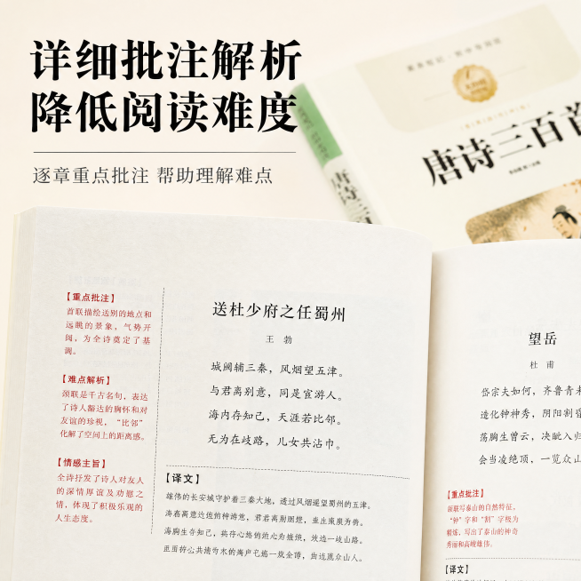 [主图-4] 产品细节特写展示
[氛围风格] 专业可信教育风，淡雅简洁
[画质] 商业摄影质感，光线柔和通透，产品清晰真实，画面干净高级
[元素] 特写展示唐诗三百首书内页细节，呈现"章节详细批注"内预览效果