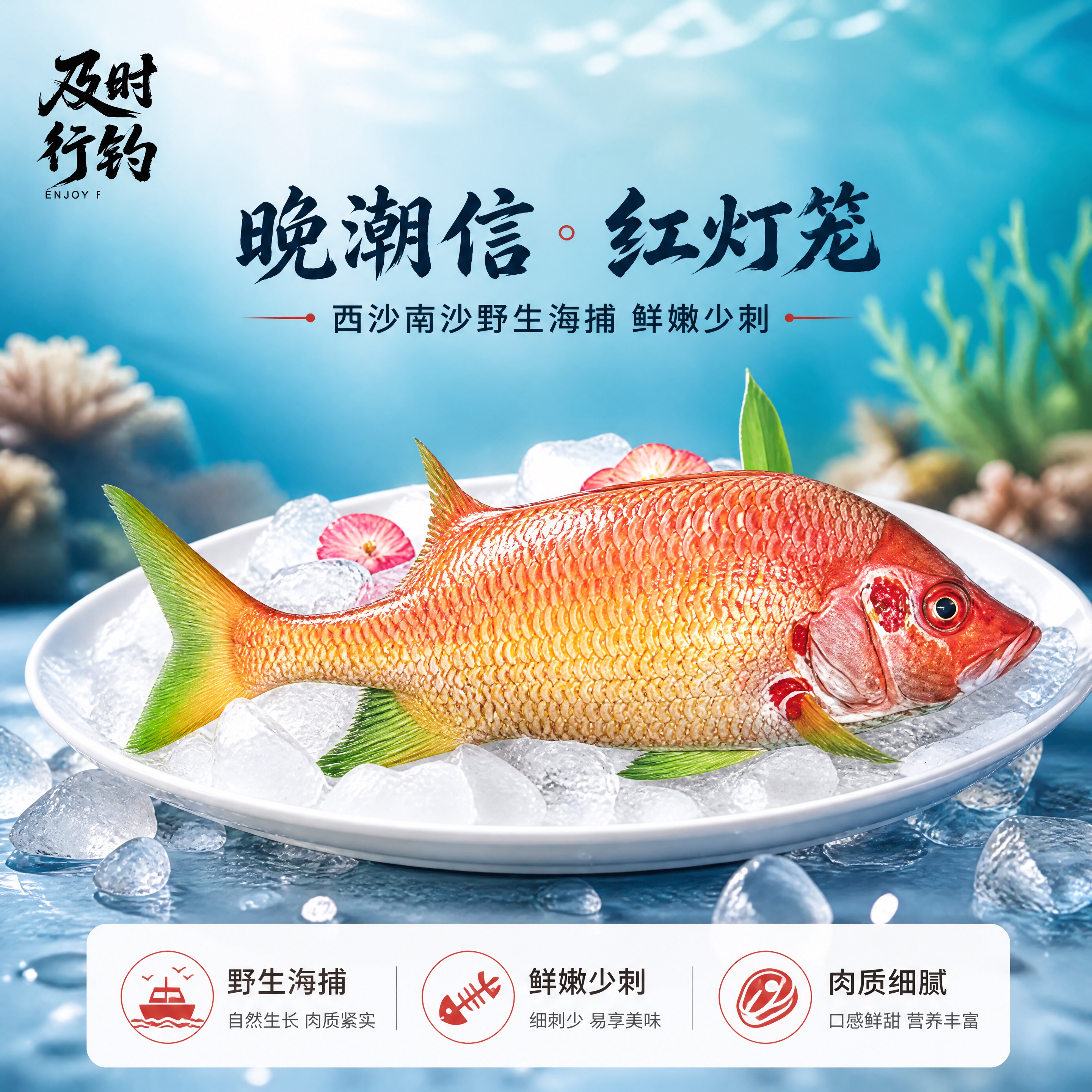 [商品] 使用【图1】野生红灯笼鱼；保留鱼身橙红色鳞片、绿色鱼… - 图片创意预览