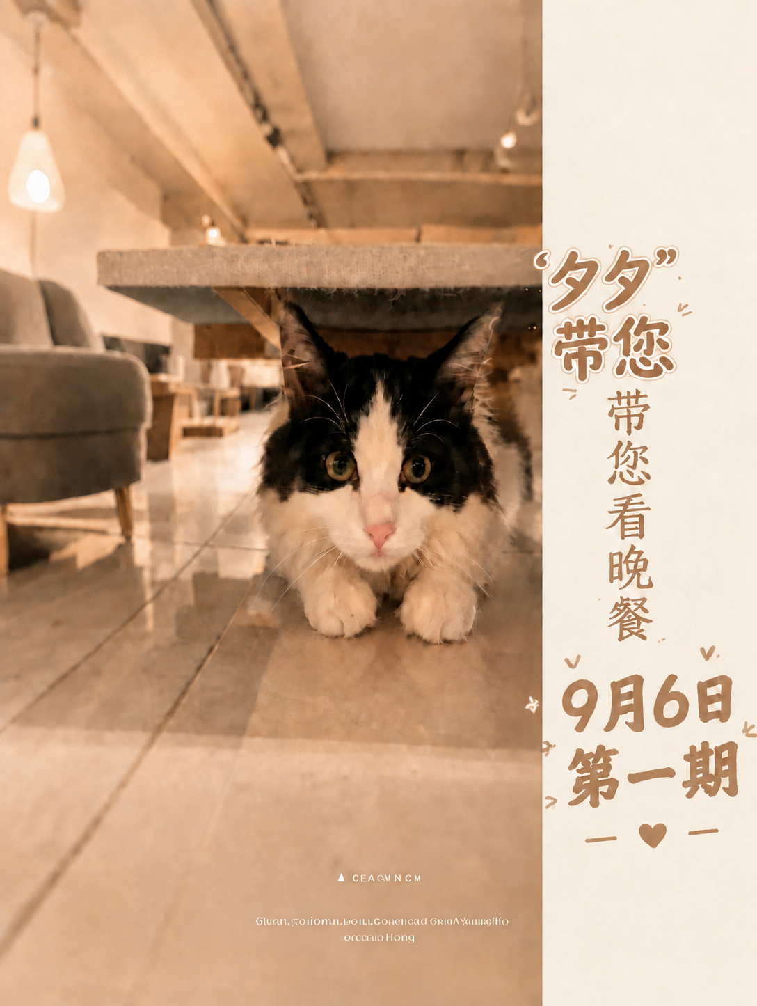 将图片右侧白色区域中的文字"第二期"修改为"第一期"，保持完全… - 图片创意预览