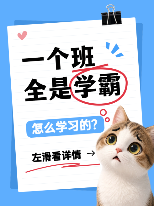 爆款吸睛大字风学霸学习方法分享小红书封面预览效果