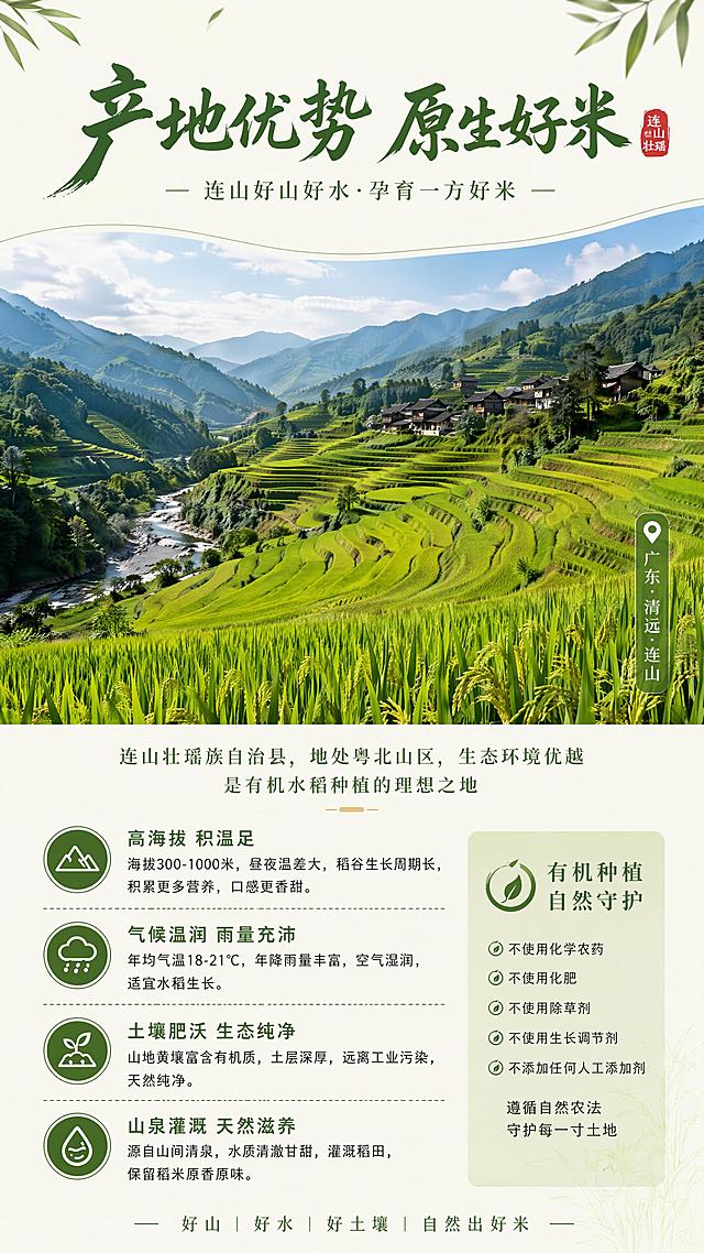 使用商品详情页技能根据商品图「图片1」「图片1」「图片1」生成详情页，参考图为「图片1」，商品名称为壮瑶家乡有机米主图，卖点为使用AI工具生成一套完整的商品详情长图（可用长图或切片形式）；  需包含以下核心信息模块（顺序合理）：  首屏：吸睛海报式大图 + 核心卖点总览；  产品基本信息（名称、规格、产地、保质期等）；  有机认证/资质展示（可用示意图标）；  产地优势（连山自然环境、有机种植等）；  产品实拍展示（多角度）；  食材对比/品质差异说明；  食用建议/烹饪场景/搭配推荐；  品牌故事或企业信息（“乡意浓”品牌简介）；  售后保障/物流说明；  整体排版节奏张弛有度，图文比例适当，信息层级清晰；  色调与海报、主图保持一致，形成统一视觉识别。，适配平台为淘宝/天猫，图片比例为16:9，需求屏数为8张，