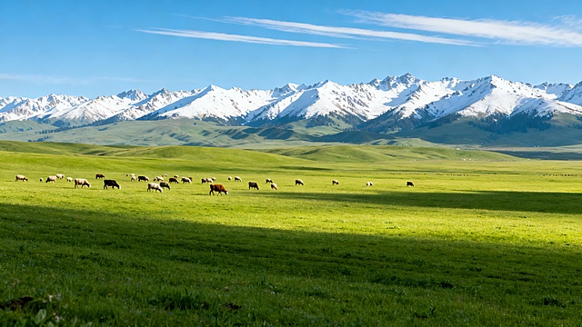 继续生成10张，风景唯美一些，视频开阔一些