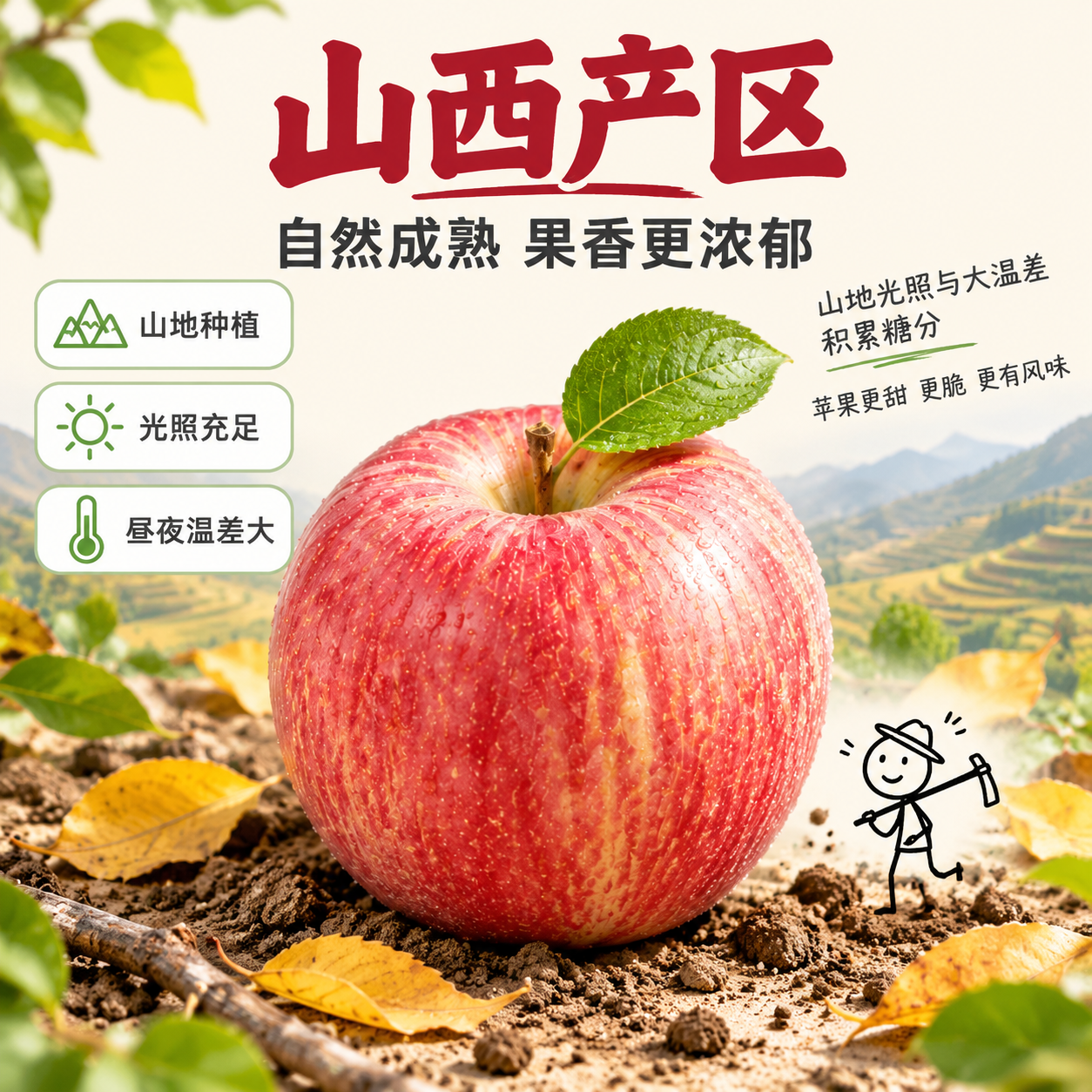[主图-3] 山西产区产地溯源图，展示苹果产地环境与自然成熟优… - 图片创意预览