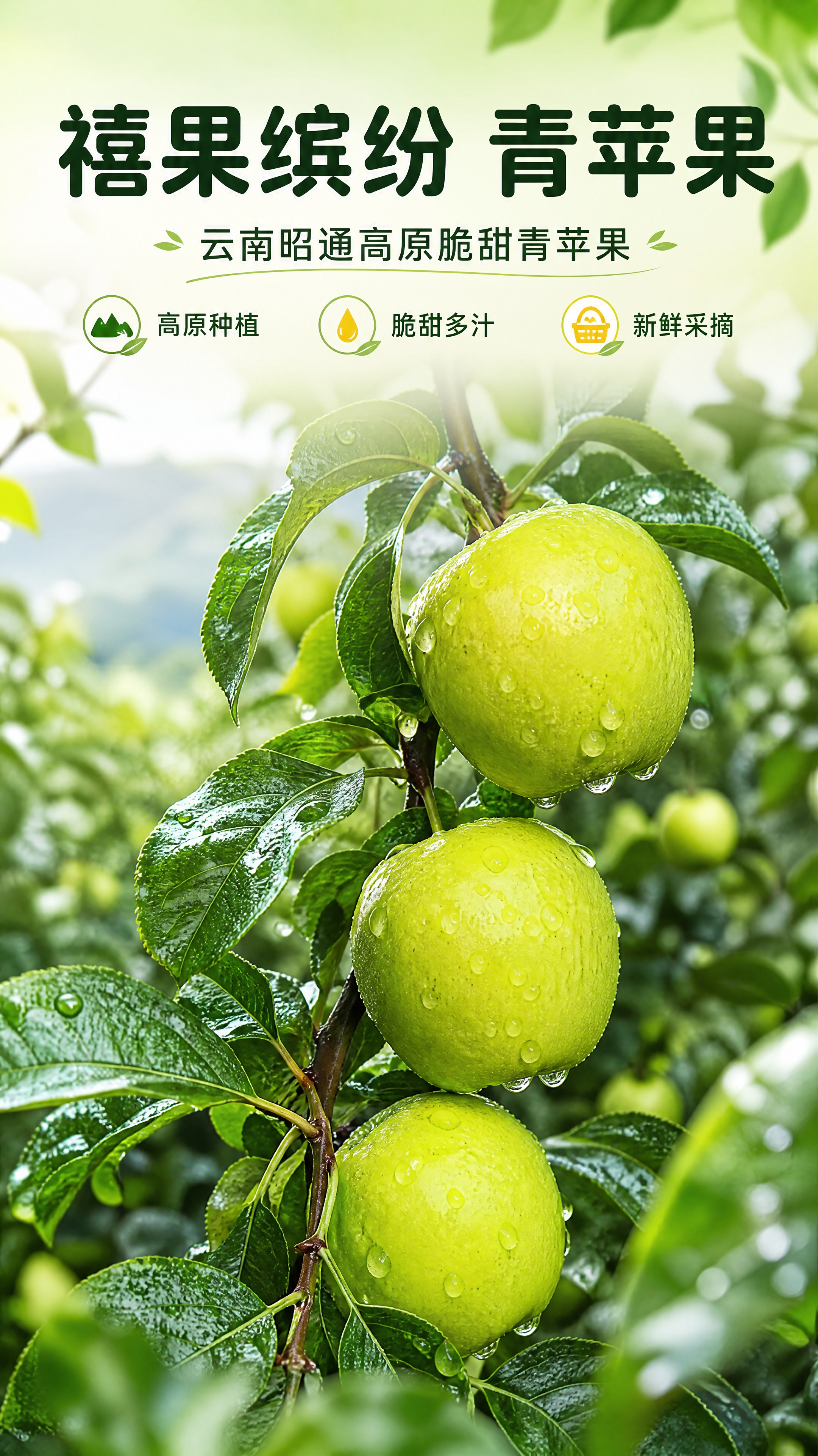 [商品] 使用【图1】挂在枝头带水珠的青绿色苹果；保留苹果圆润… - 图片创意预览