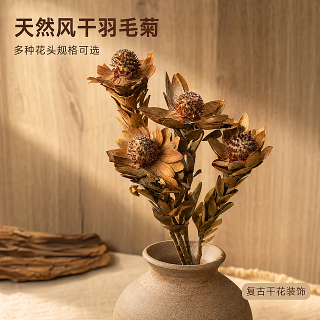 「图片1」，生成一套主图（5张），商品名称是羽毛菊，卖点是有单头/双头/三头可选，适配淘宝/天猫平台，主图比例为1:1