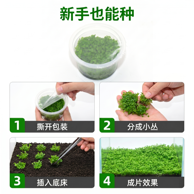 盖子是透明膜预览效果