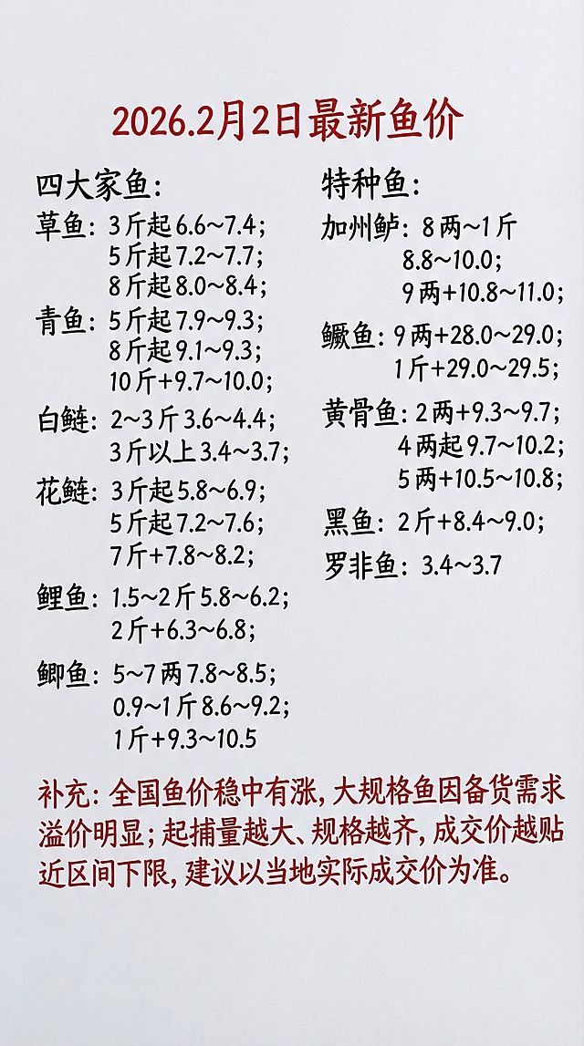 2026.2月2日最新鱼价
四大家鱼
草鱼：3 斤起 6.6~7.4；5 斤起 7.2~7.7；8 斤起 8.0~8.4；
青鱼：5 斤起 7.9~9.3；8 斤起 9.1~9.3；10 斤 + 9.7~10.0
白鲢：2~3 斤 3.6~4.4；3 斤以上 3.4~3.7
花鲢：3 斤起 5.8~6.9；5 斤起 7.2~7.6；7 斤 + 7.8~8.2
鲤鱼：1.5~2 斤 5.8~6.2；2 斤 + 6.3~6.8
鲫鱼：5~7 两 7.8~8.5；0.9~1 斤 8.6~9.2；1 斤 + 9.3~10.5
特种鱼
加州鲈：8 两～1 斤 8.8~10.0；9 两 + 10.8~11.0
鳜鱼：9 两 + 28.0~29.0；1 斤 + 29.0~29.5
黄骨鱼：2 两 + 9.3~9.7；4 两起 9.7~10.2；5 两 + 10.5~10.8
黑鱼：2 斤 + 8.4~9.0
罗非鱼：3.4~3.7
补充：全国鱼价稳中有涨，大规格鱼因备货需求溢价明显；起捕量越大、规格越齐，成交价越贴近区间下限，建议以当地实际成交价为准。
参照图片字体字迹和颜色，用上面的内容替换，重新生成新的图片，排版布局合理，一字不差，第一行和补充内容改成红色字体，四大家鱼放在左边，特种鱼放在右边