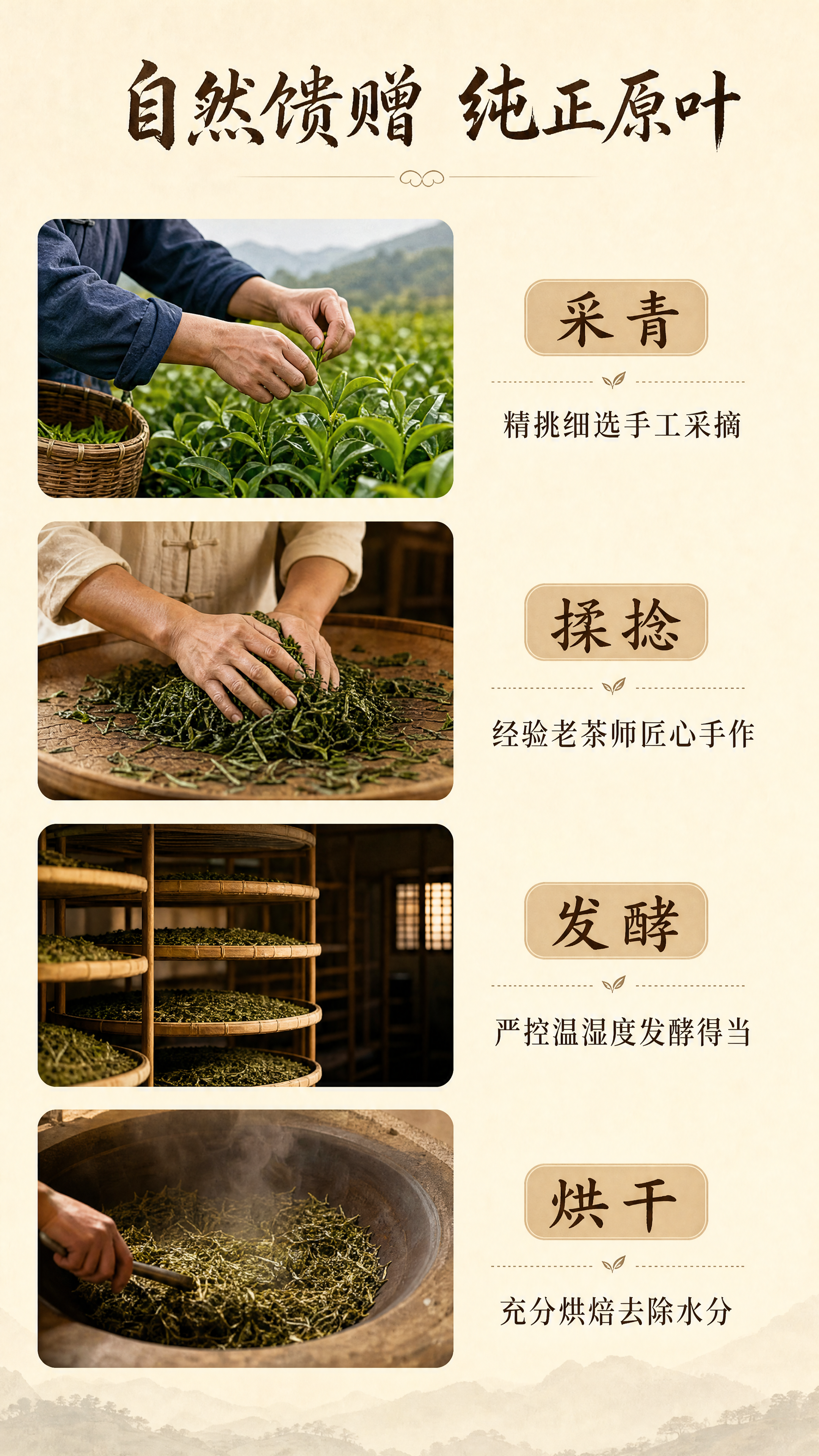 [第3屏] 传统制作工艺介绍屏-笔架山茶叶传统四道制作工序展示… - 图片创意预览
