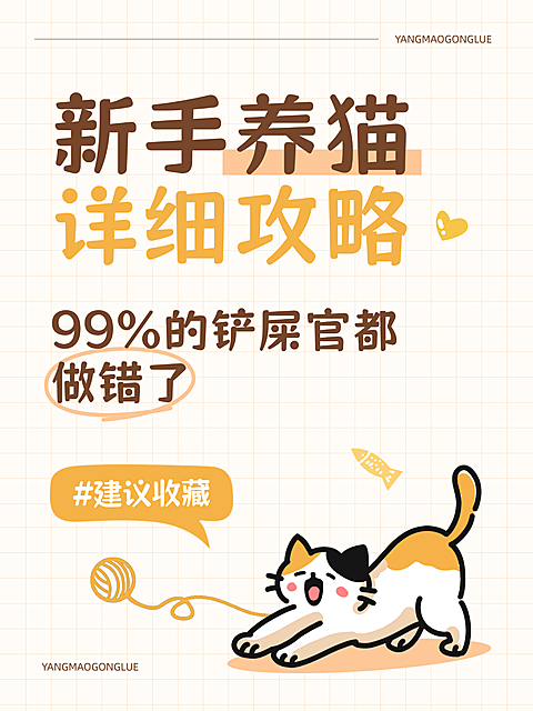 新手养猫知识攻略分享爆款大字小红书封面