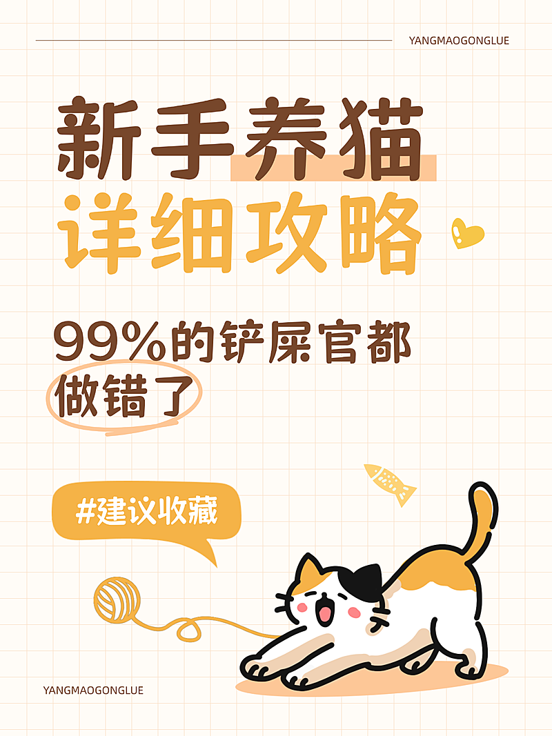 新手养猫知识攻略分享爆款大字小红书封面
