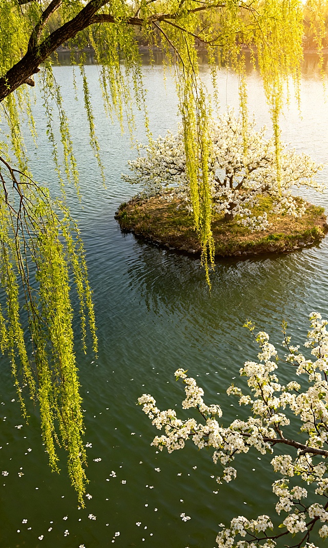 生成10张图片，主题是“春季风景”，比例9比15，不要出现人物