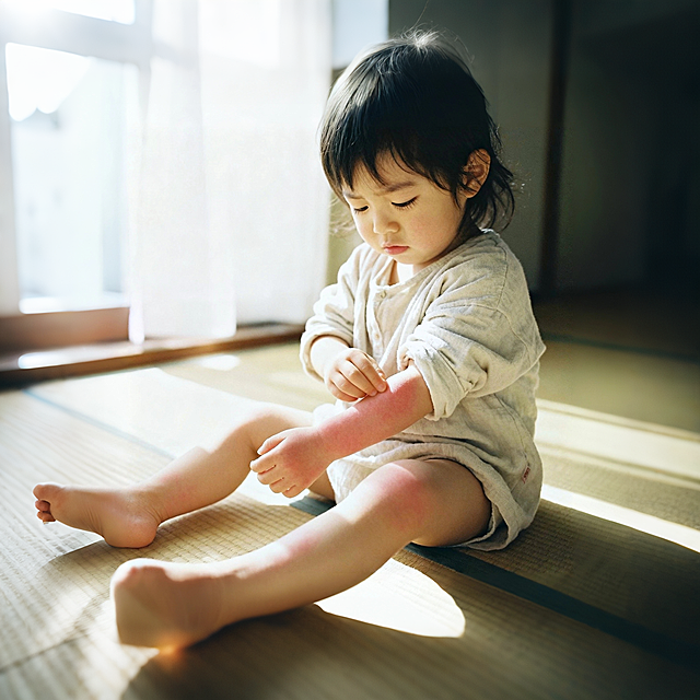 我要看见小孩全景的图片