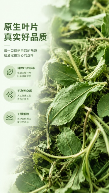 [第3屏] 品质细节展示页-烘干紫花苜蓿草材质与细节特写。
[氛围/风格] 自然真实微距质感，突出产品品质感，商业摄影细节呈现。
[元素布局] 整张图片满铺紫花苜蓿草细节微距画面，展示翠绿叶片纹理和干预览效果