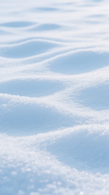 一张纯净的雪地背景图，整体呈现柔和的浅蓝色调，雪面覆盖着细腻均匀的纹理，仿佛被微风轻轻拂过，形成自然的波纹状起伏。光线明亮而柔和，均匀地洒在雪地上，没有明显的阴影，营造出干净、宁静、通透的氛围。雪花颗粒感细腻，质感蓬松，画面简洁大方，适合作为背景使用，展现出冬日雪后纯净无瑕的景象。预览效果