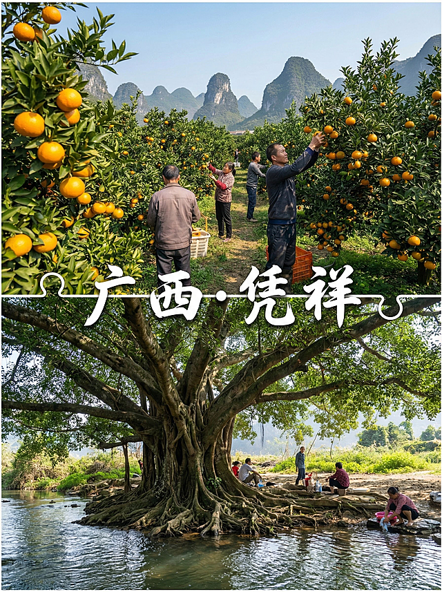 你的任务
帮我制作5份由地区特色景象结合出来的风景宣传照片，并在图片中心用文字标上主要地点（只要一个），宣传照片由当地景色的2张或者4张或者6张或者9张照片结合而成
#备注
要求图片写实，使用香蕉2.0，图片比例3:4，且不要出现任何人的正面照。
#备注
在标记地点时，只需要有地点就行，比如：
江苏·同里——江南古镇慢节奏
就只需要在拼图中间有：江苏·同里就行

#具体地点
需要阅读以下文章来提取
暖冬躺平天花板！这座20℃宝藏小城✨小住3-4天治愈所有疲惫
 
宝子们谁懂啊😭！冬天不想在热门景区人挤人，也不想裹成粽子冻得瑟瑟发抖，就想找个暖乎乎的小城慢住几天，晒晒太阳、逛吃发呆？挖到宝了！广西崇左凭祥，藏在中越边境的千年口岸小城，12月暖冬buff叠满，人少景美节奏慢，住3-4天直接治愈一整年的奔波劳碌～
 
✨为啥独宠凭祥？
 
1. 气候超舒服🌡️：日均18-24℃，穿卫衣+薄外套就能轻松出行，冬日阳光温柔不刺眼，晒在身上暖洋洋，告别羽绒服的笨重束缚
2. 人少不拥挤🙅‍♀️：没有网红扎堆打卡，古街、口岸、村寨都保持着原生态模样，拍照360°无路人抢镜，社恐星人也能自在撒欢
3. 躺平无压力😌：没有必须赶场的景点，喝茶、逛吃、看风景就是正经事，3-4天的慢时光，让节奏慢下来，身心全放松
 
📍3-4天躺平路线：不赶路才是冬日旅行的真谛
Day1：古街寻味→住进边境烟火里
上午睡到自然醒，高铁直达凭祥站，打车5分钟直奔浦寨边贸街🏮 这条藏着中越风情的老街，青石板路蜿蜒曲折，骑楼式建筑兼具两国特色，红灯笼挂满屋檐，12月的阳光洒下来，氛围感直接拉满。
沿着老街慢慢晃，路边的越南小吃摊香气扑鼻，先来一份越南春卷🥢 薄如蝉翼的米纸裹着虾仁、生菜和米粉，蘸上鱼露酸甜汁，清爽不腻；再来一串越南烤猪皮，外酥里嫩，撒上椒盐，香到停不下来。找一家老街深处的民宿入住，壮族吊脚楼改造的房间，推窗就是青瓦白墙，老板会泡上一壶本地的六堡茶，坐在院子里晒太阳，连风都带着茶香～
中午钻进巷子里的家常菜馆，点一份凭祥烧鸭粉🍜 鲜美的鸭骨汤打底，配上爽滑的米粉和皮脆肉嫩的烧鸭，加上酸笋、腐竹，人均15吃到撑。下午去友谊关景区打卡，不用刻意赶时间，沿着古城墙慢慢走，看斑驳墙体上的历史痕迹，站在城楼上远眺中越边境风光，感受“南疆国门”的庄严。累了就坐在景区旁的茶馆，点一杯越南咖啡，慢慢品味浓郁香醇。
晚上的老街更有烟火气，小吃摊陆续出摊，再来一顿中越风味火锅🥘 鲜美的牛骨汤煮上越南河粉、肥牛卷和本地野菜，配上沙茶酱和小米辣，暖乎乎一碗下肚，寒意全消。
 
Day2：村寨吸氧→沉浸式治愈时光
上午直奔上石镇板旺村🌿 这里是凭祥的“天然氧吧”，12月的村寨草木依旧青翠，稻田里偶有觅食的家禽，溪水潺潺流淌，炊烟袅袅升起，宛如一幅田园画卷。
租一辆小电驴沿着村寨小路骑行，路过挂满果实的柑橘园、古朴的壮族民居，累了就停在溪边的大榕树下，吹吹微风，看孩子们在溪边嬉戏，烦恼瞬间烟消云散。中午在村里的农家乐吃地道壮族菜，香煎河鱼、五色糯米饭、酸菜炒腊肉，都是原生态食材，鲜香入味，人均40吃到扶墙出。
下午去大连城景区逛逛，这座清代的军事要塞，依山而建，古炮台、战壕保存完好，徒步在山林间，看奇石异峰，听鸟鸣虫叫，冬日的山林静谧又治愈，负氧离子爆棚，深呼吸一口，感觉肺都被净化了。喜欢安静的姐妹，可以找一处观景台，看着远山近林发呆一下午，享受独处的惬意。
 
Day3-4：自由散漫→与慢时光和解
最后1-2天，完全不用做攻略，睡到自然醒，想干嘛就干嘛！
• 可以去红木文博城✍️ 凭祥是“中国红木之都”，逛一逛红木展馆，看精美的红木雕刻，感受传统工艺的魅力，还能挑选小巧的红木饰品当伴手礼
• 可以去越南风情街买买买🛍️ 这里有各种越南特产，腰果、咖啡、榴莲糖，价格实惠，还能尝尝正宗的越南水果捞，酸甜爽口
• 也可以就待在老街上，把没吃够的小吃尝个遍，越南卷粉、凭祥炒粉虫、艾粑粑，再买几斤本地的沃柑、沙糖桔带回家，把凭祥的暖冬味道打包带走
 
#广西旅行 #冬季避寒好去处 #边境小城旅行 #慢生活旅行 #小众宝藏旅行地