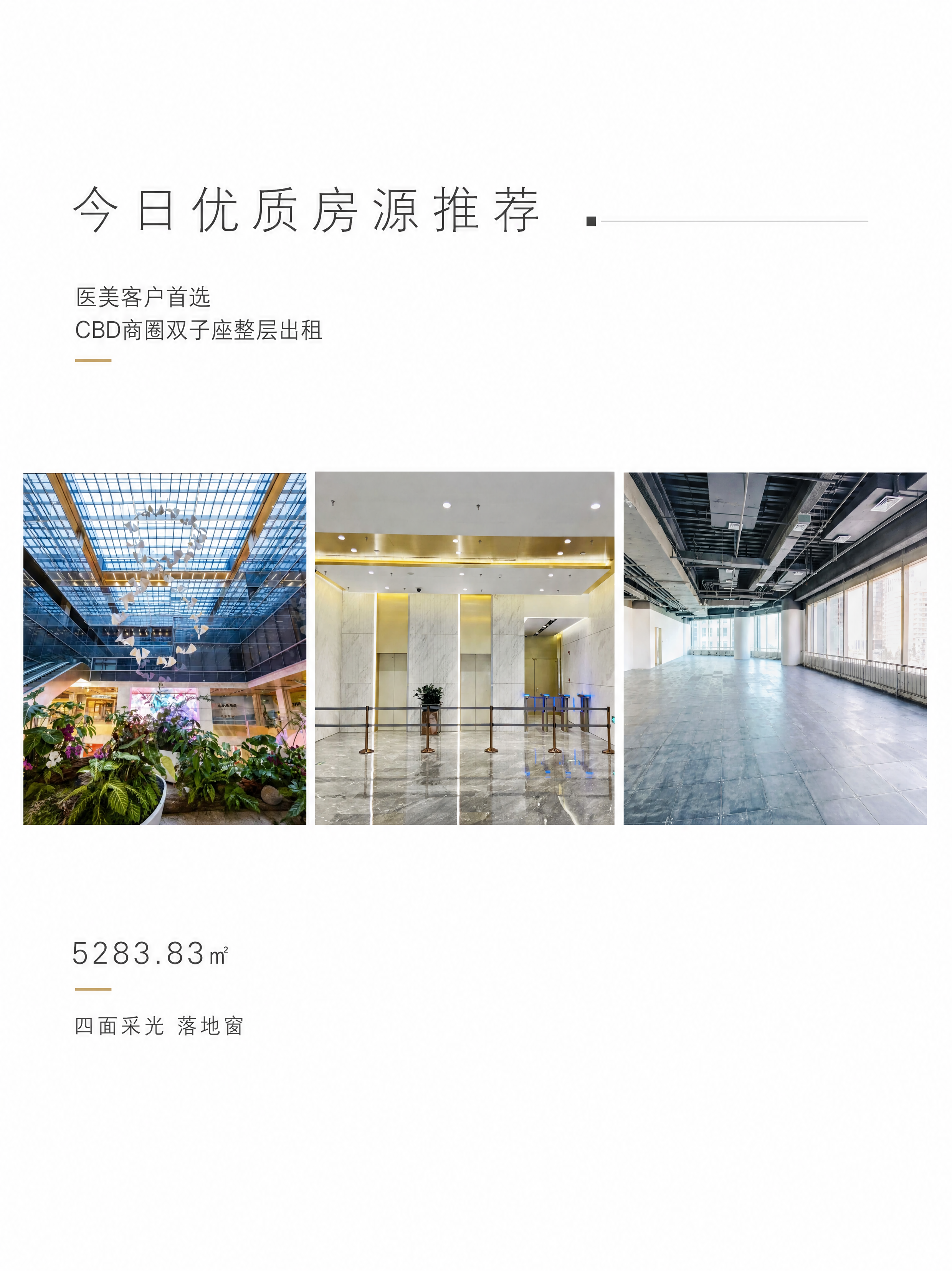 小红书笔记大字封面，配图大字，ins清新简约商务风，版式精美，… - 图片创意预览