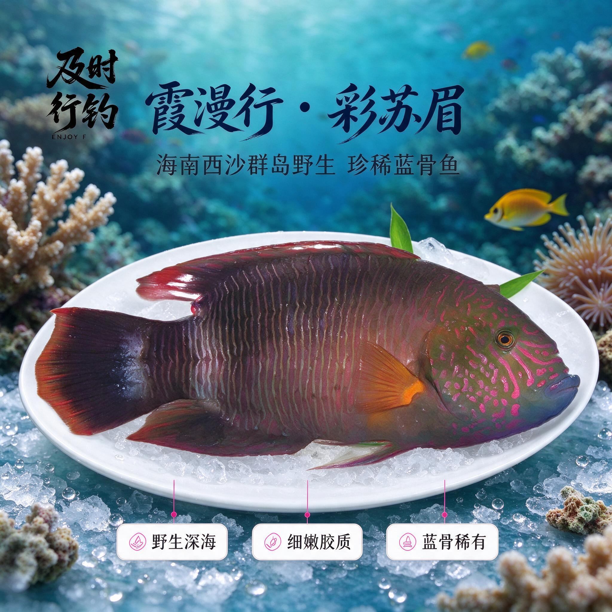 [商品] 使用【图1】野生彩苏眉鱼；保留鱼身深褐底色带粉红条纹… - 图片创意预览