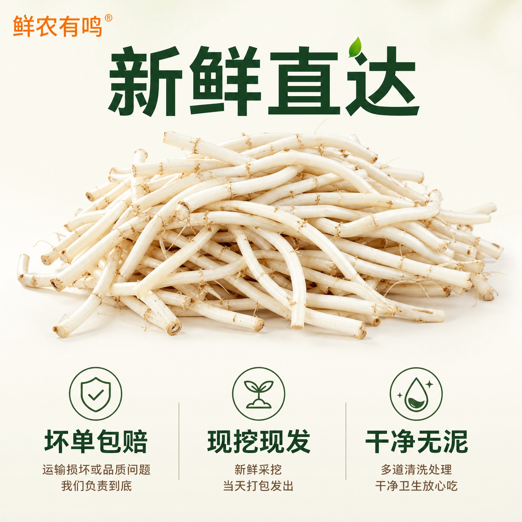 [主图-5] 鲜农有鸣 折耳根（鱼腥草）规格与服务承诺图，高端… - 图片创意预览