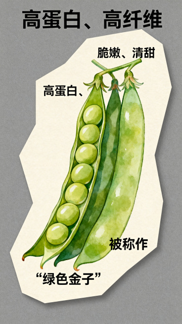 龙豆促销异形不规则设计宣传海报，主色调为灰色搭配浅米色，风格融合手绘元素与软糯质感，画面核心是手绘风格完整新鲜龙豆菜，细节丰富，包含创意文字："高蛋白、高纤维"、"脆嫩、清甜"，下方标注文字"被称作预览效果