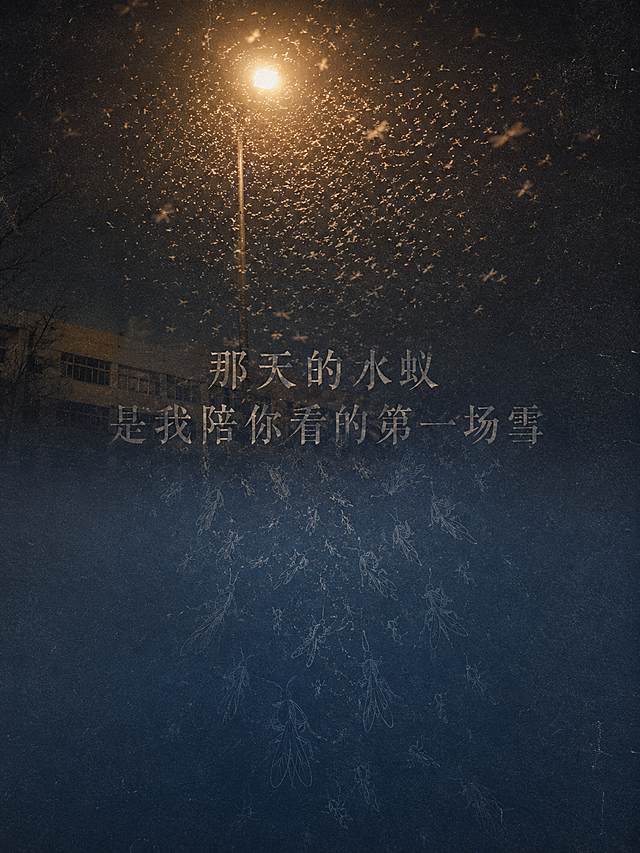小红书3:4竖版全屏海报，超现实主义抽象拼接风格。上半部分是朦胧的实况照片：夜晚操场的暖黄路灯，大水蚁在灯光里像雪一样飘落，带复古胶片颗粒感，左下角有淡建筑轮廓；下半部分是渐变的深灰蓝色块，从路灯延伸出无数淡蓝色线条勾勒的大水蚁轮廓，像从灯光里流下来的雪，线条逐渐变细变淡。画面中间用汇文明朝体，做旧铅字印刷质感的淡印文字，文字半透明，像印在照片上的旧日记，文字内容是“那天的水蚁 是我陪你看的第一场雪”，整体氛围忧郁、温柔、抽象，适合小红书全屏观看
