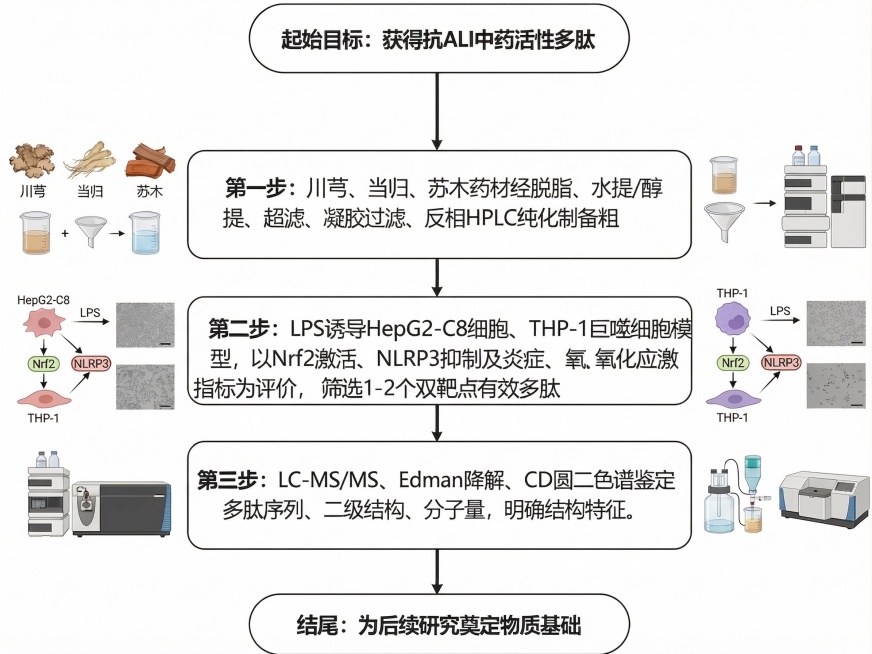 将流程图中所有文字框的背景修改为纯白色，保持原有文字内容、示意图和箭头不变，整体清晰整洁预览效果