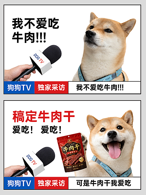 宠物零食商家产品推广搞笑采访风小红书封面