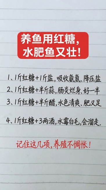 基于原图排版布局，替换所有文字内容为：
顶部红色圆角矩形背景配白色粗字标题："养鱼用红糖，水肥鱼又壮！"
下方依次排列黑色手写字体：
1、1斤红糖+1斤盐，吸收氨氮、降压盐
2、1斤红糖+半斤蒜，肠炎预览效果