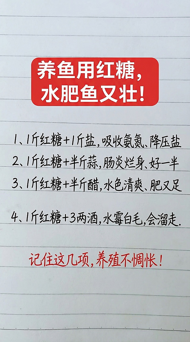 基于原图排版布局，替换所有文字内容为：
顶部红色圆角矩形背景配白色粗字标题："养鱼用红糖，水肥鱼又壮！"
下方依次排列黑色手写字体：
1、1斤红糖+1斤盐，吸收氨氮、降压盐
2、1斤红糖+半斤蒜，肠炎烂身、好一半
3、1斤红糖+半斤醋，水色清爽、肥又足
4、1斤红糖+3两酒，水霉白毛,会溜走.
最下方红色手写字体："记住这几项，养殖不惆怅！"
保持横格笔记本背景不变，参照原图字体和颜色，排版布局合理，一字不差替换内容。