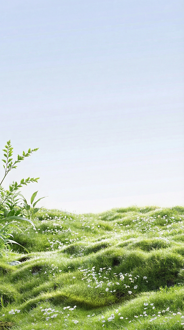 把右边的植物去掉