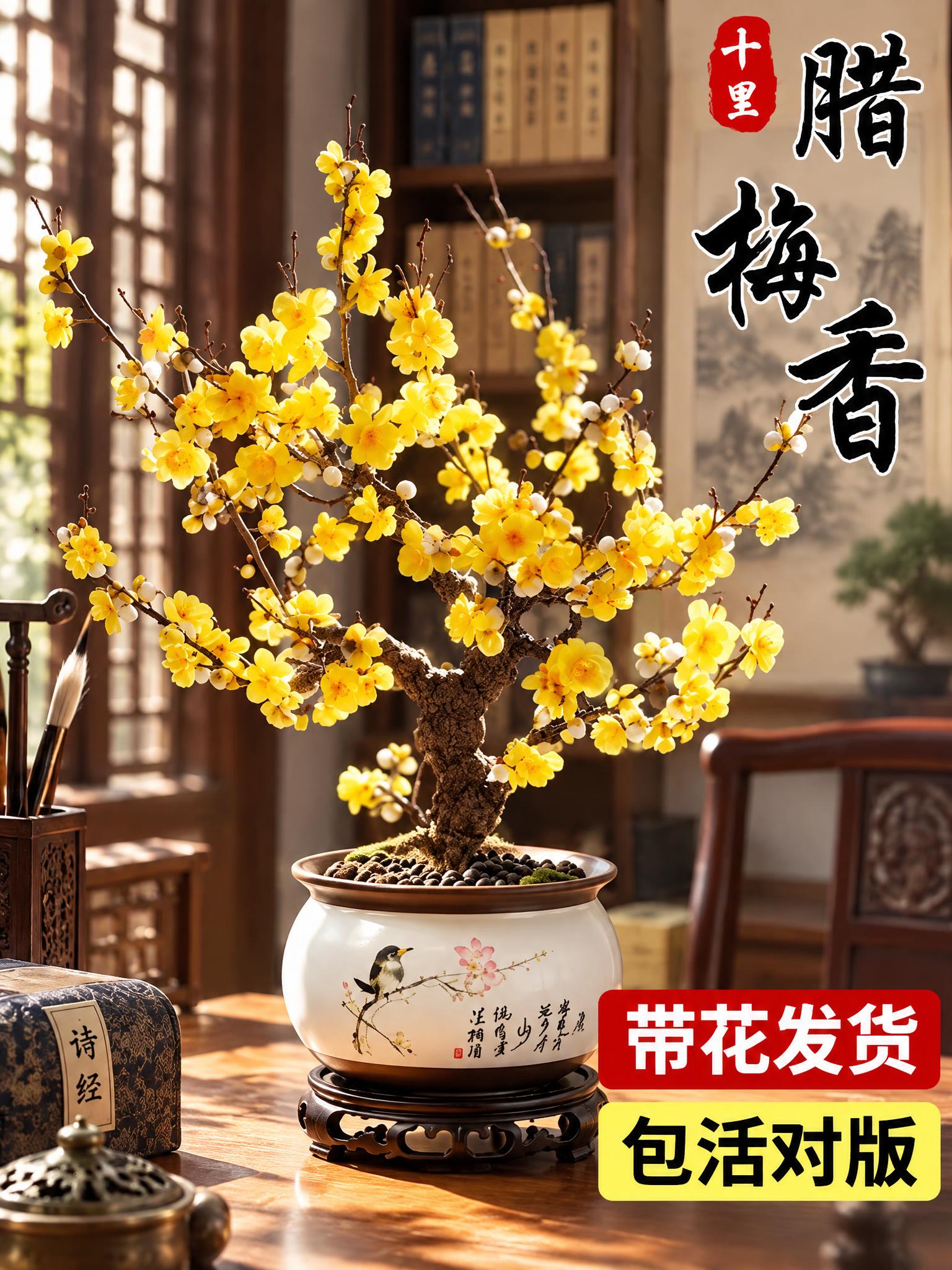 基于图1的腊梅盆栽，将花盆替换为图2中的中式花鸟图案瓷盆（带深… - 图片创意预览