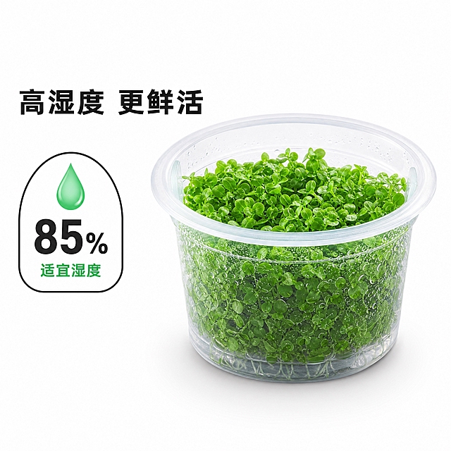 [主图-5] 湿度参数展示，优雅湿度徽章设计。
[统一基调] 纯白影棚背景 #FFFFFF，专业商业产品摄影布光，明亮干净均匀，产品底部有柔和接触阴影；整体风格极简高级，专业水族品牌感；文字标签采用深黑色主标题 + 翠绿色辅助色，无衬线粗体字体，简洁现代。
[画面] 画面中心偏右位置放置一只完整的透明塑料组培杯，杯中长满鲜绿色蒙特卡洛水草，杯壁有细微水珠凝结，体现高湿度环境，略微俯视角度，产品占画面约 50%；画面左侧是一个精致优雅的湿度信息徽章：水滴形状或圆角方形，细黑色边框，内部有一个简约的水滴图标（翠绿色渐变）。
[光影质感] 均匀柔和的商业摄影布光，透明杯壁水珠有晶莹高光，水草鲜绿饱满，徽章有细腻光泽和轻微立体感，整体干净高级。
[配色] 背景纯白 #FFFFFF，水草鲜绿色，徽章边框深黑色，水滴图标翠绿色渐变 #2ECC71，数字深黑色。
[文字版式] 左侧徽章内：上方深黑色大号粗体数字"85%"，数字下方翠绿色小号字"适宜湿度"；徽章上方有深黑色标题"高湿度 更鲜活"；所有文字清晰易读，排版优雅整齐。
[输出要求] 1:1 正方形，2048x2048，产品清晰锐利，文字清晰可读，8K 质感；禁止变形、错字、模糊、杂乱背景、水印、平台 Logo。