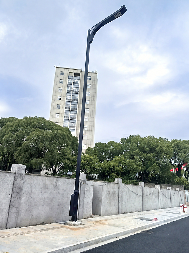去掉图片中灯杆左侧的灯头，保持灯杆笔直，保持原场景、墙面、树木和背景建筑不变，自然填充移除后的区域，保持整体风格和光影一致