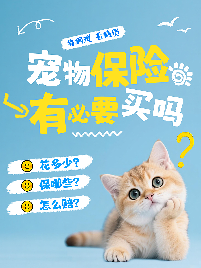 宠物猫狗喂养健康医疗金融保险营销科普知识通用卡通插画大字小红书封面