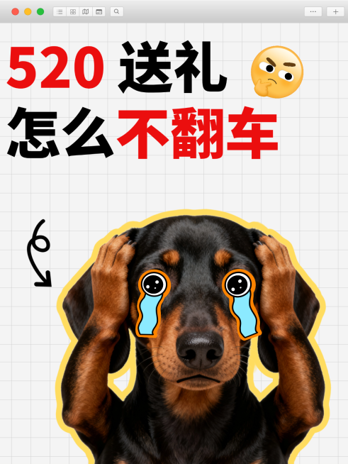 520送礼趣味小红书封面预览效果