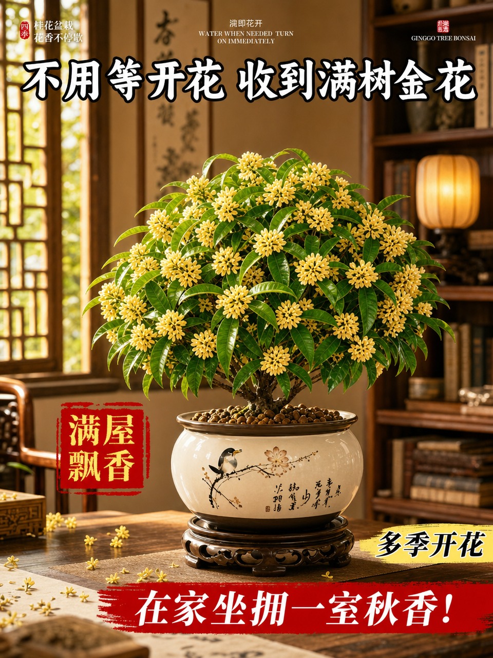 参考第二张图的版式和风格，以第一张图的桂花盆栽为主体，制作一张… - 图片创意预览