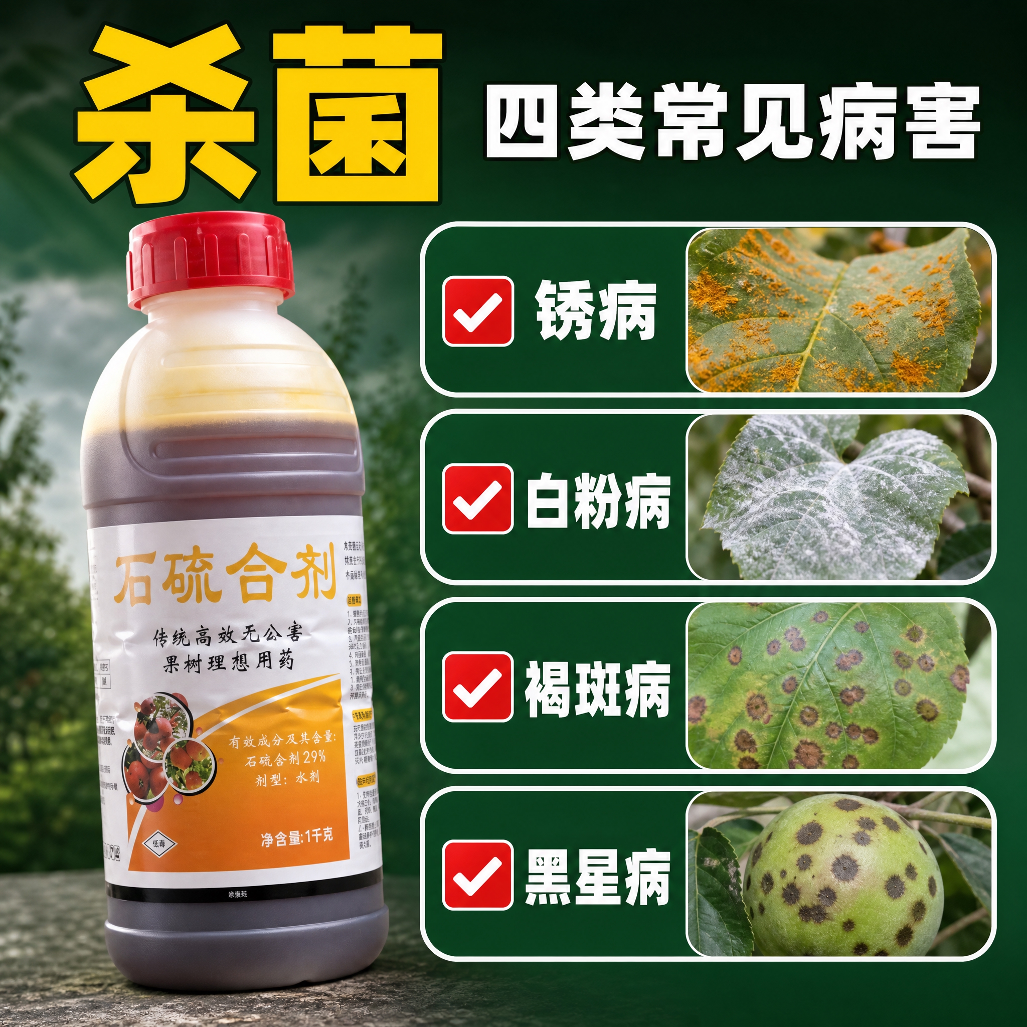 [主图-2] 石硫合剂（1000克 水剂 清园专用）主题与唯一… - 图片创意预览