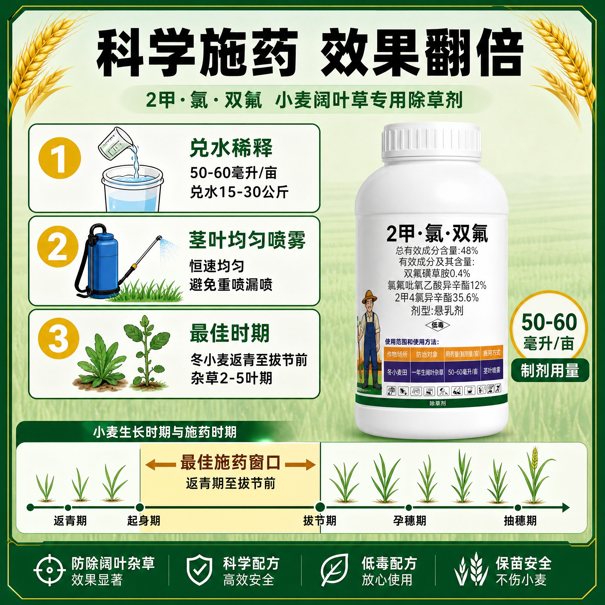 [主图-4] 2甲·氯·双氟 小麦阔叶草专用除草剂 使用方法与… - 图片创意预览