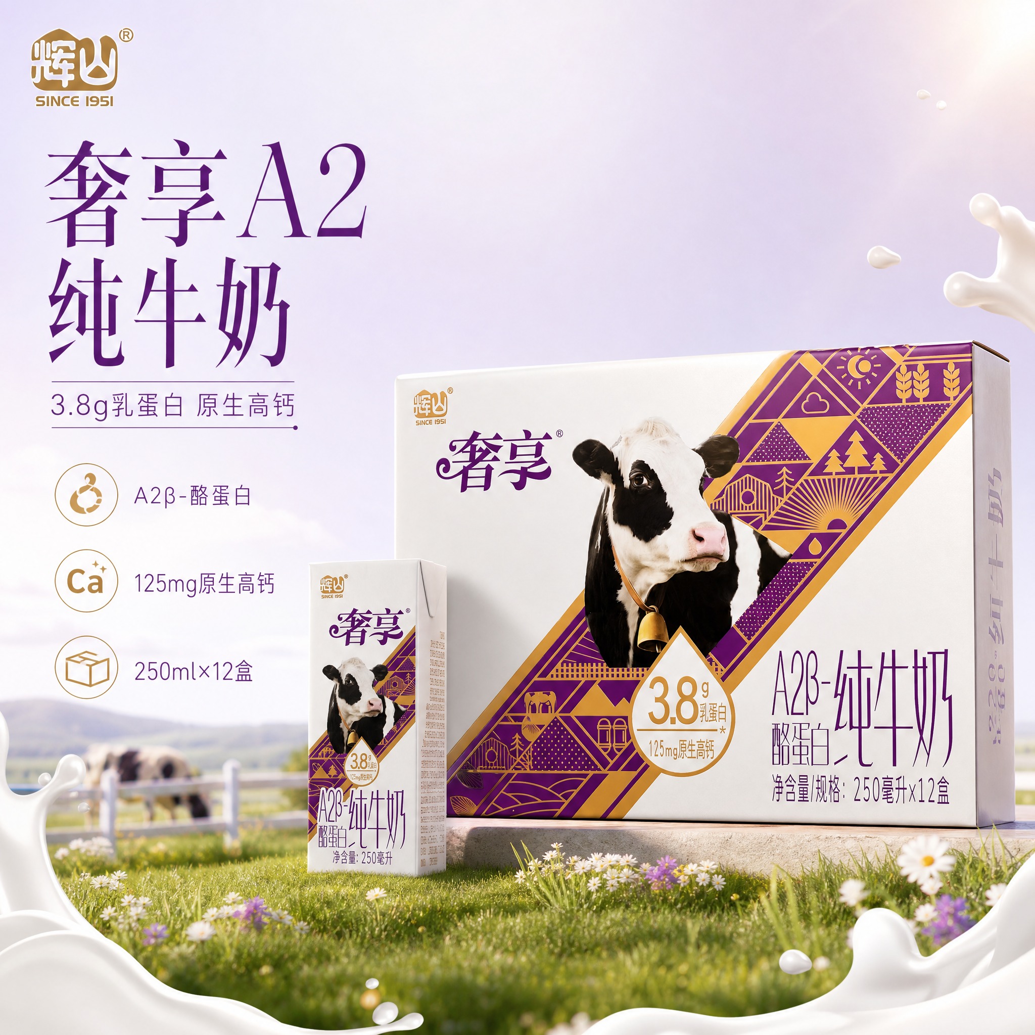 [单张主图] 辉山奢享A2β-酪蛋白纯牛奶 高级氛围感主图，突… - 图片创意预览